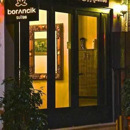 Borancik Hotel 3*