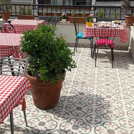 Borancik Provincia di Istanbul