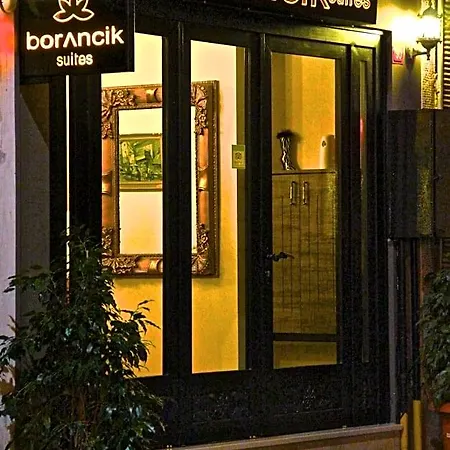 Borancik Hotel Istanboel