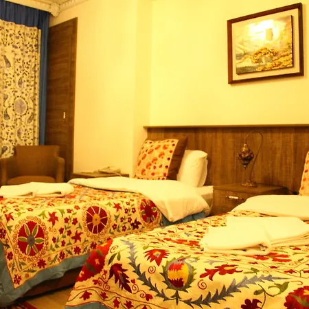 Hotel Borancik