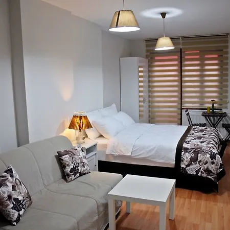 Borancik 3* Provincia di Istanbul