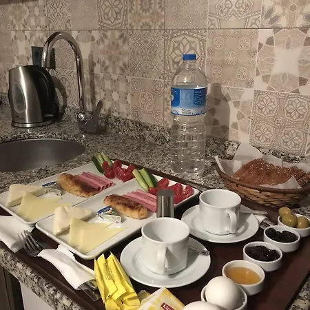 Hotel Borancik