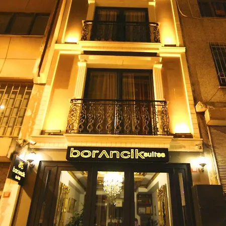Hotel Borancik