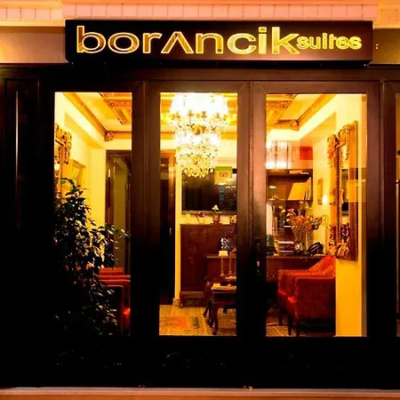 Hotel Borancik Stambuł